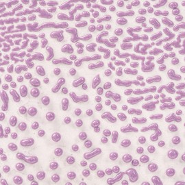 Purple 16-oz. Amaco Crawl Mid-Range Glaze